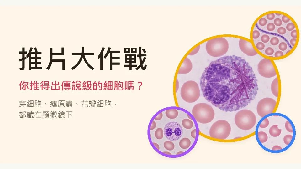 推片大作戰代表圖